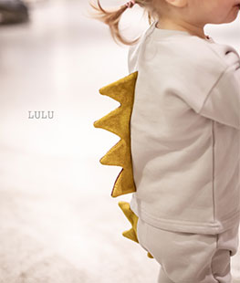 Dinosaur Set