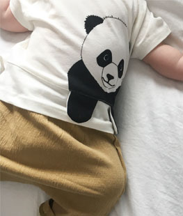 Panda Short Sleeve T